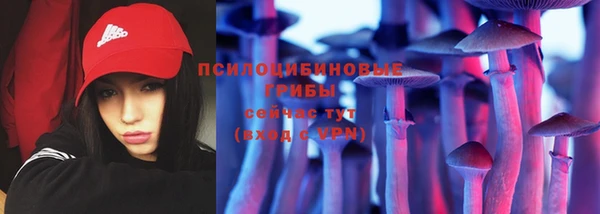 ешки Алзамай