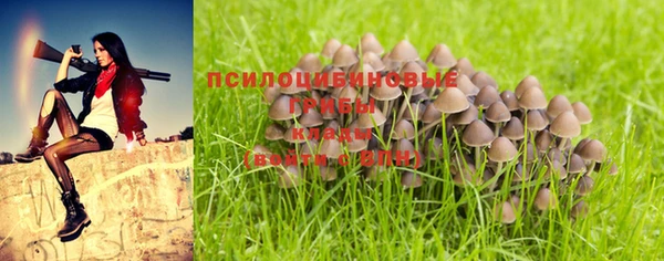 марки nbome Алексин