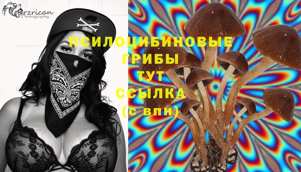 ешки Алзамай