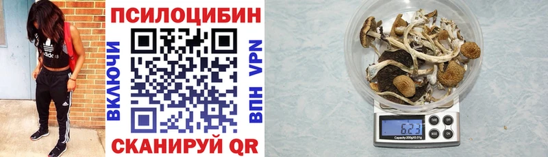 Галлюциногенные грибы ЛСД  Котовск 